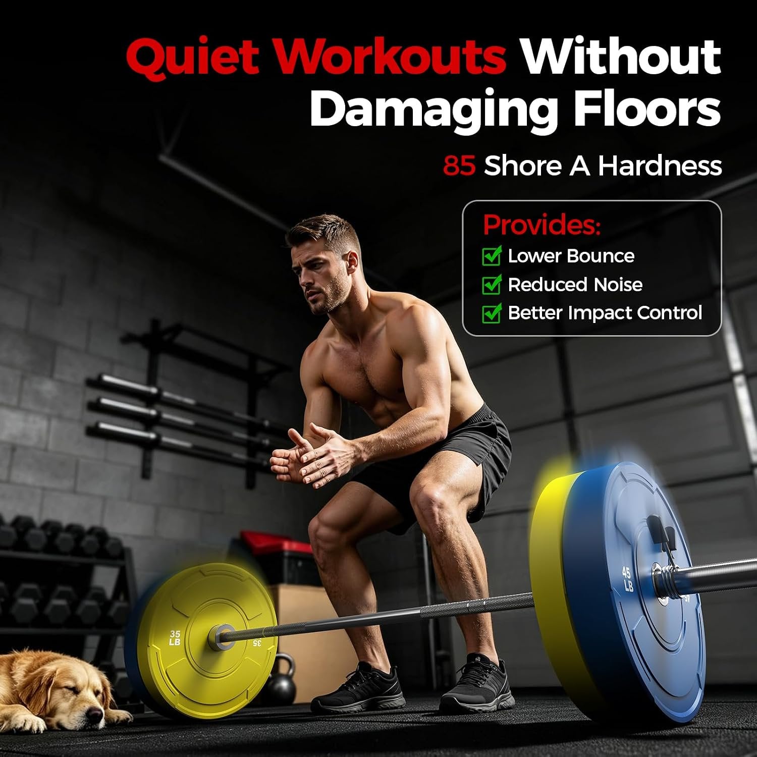 2-Inch Olympic Bumper Plates Set, 2pcs-25lb Colored Virgin Rubber Weight Barbell Plates for Strength Training, Home Gym Weightlifting